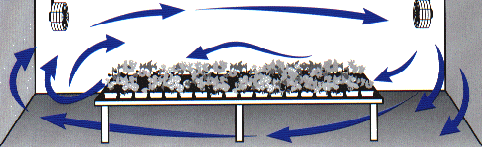 greenhouse circulation fan set up
