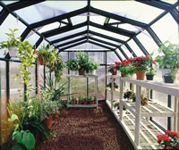 How does the greenhouse ship