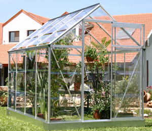 SilverLine 6' x 8' Greenhouses