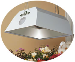 Radiant Light Systems