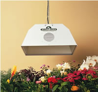 radiant light system