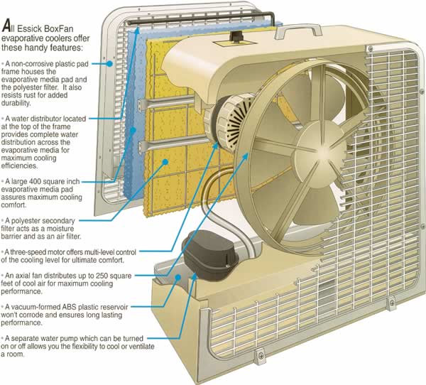 click here to return to the box fan page