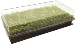heated germination station